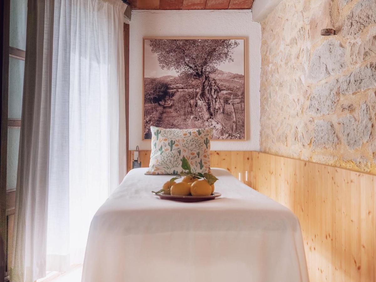Can Cota Boutique - Turismo De Interior Selva  Ngoại thất bức ảnh